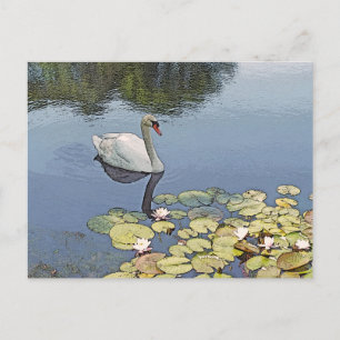 Postale carte postale, "SOUFFLE ENTRE LILY PADS"