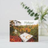 POSTALE CARTE POSTALE, TAHQUAMENON FALLS STAPARK, MICHIGAN (Debout devant)