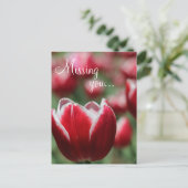 Postale Carte postale/Tulip (Debout devant)