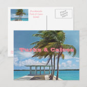 Postale carte postale, TURKS & CAICOS ISLANDS/PALMIER, PIE (Devant / Derrière)