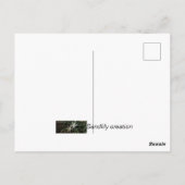 Postale Carte postale. Un rose sous un autre nom (Dos)