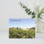 Postale Carte postale: Vignoble Paso Robles en août (Debout devant)