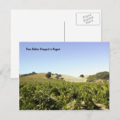 Postale Carte postale: Vignoble Paso Robles en août (Devant / Derrière)