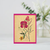 Postale Carte postale-Vintage Art-Charles Rennie Mackintos (Debout devant)