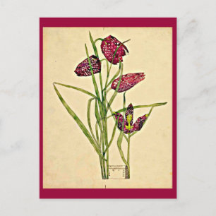 Postale Carte postale-Vintage Art-Charles Rennie Mackintos