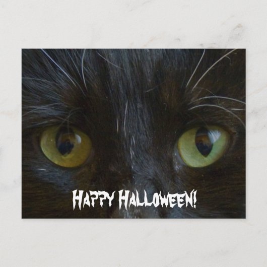 Postale Carte postale: Yeux de chat noir (Devant)