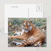 Postale Carte postaleAnimal (Devant / Derrière)