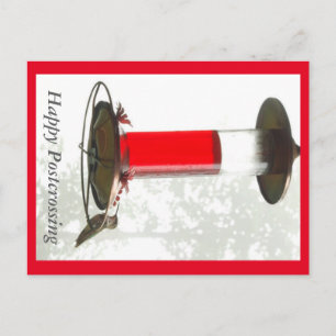 Postale Carte Postcross