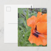 Postale Carte pour notes (Devant / Derrière)