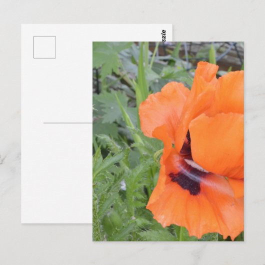 Postale Carte pour notes (Devant / Derrière)