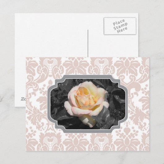 Postale Carte pour notes de Damas de rose jaune (Devant / Derrière)