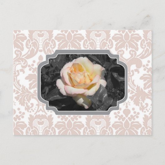 Postale Carte pour notes de Damas de rose jaune (Devant)