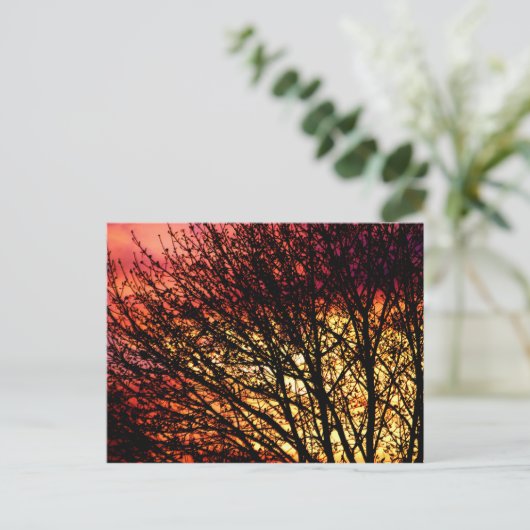 Postale Carte pour notes vierge léger le soir (Debout devant)