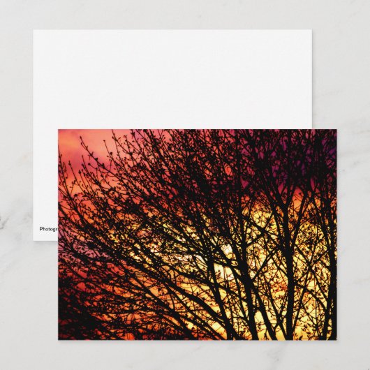 Postale Carte pour notes vierge léger le soir (Devant / Derrière)