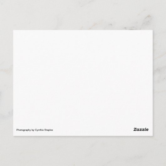 Postale Carte pour notes vierge léger le soir (Dos)