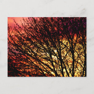 Postale Carte pour notes vierge léger le soir