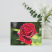 Postale Carte Recette Chocolat Chip Arachide Beurre Cookie (Debout devant)