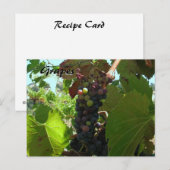 Postale Carte Recette - Raisins sur la vigne (Devant / Derrière)