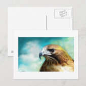 Postale Carte Red Tail Hawk (Devant / Derrière)