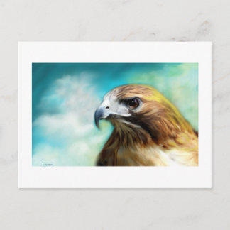 Postale Carte Red Tail Hawk