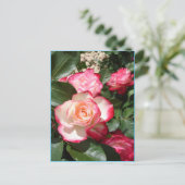 Postale Carte Rose de fleurs Roses rouge et blanc (Debout devant)