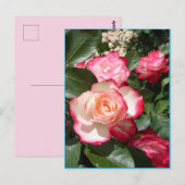 Postale Carte Rose de fleurs Roses rouge et blanc (Devant / Derrière)