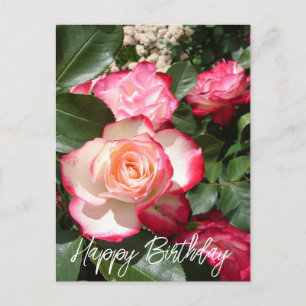 Postale Carte Rose de fleurs Roses rouge et blanc