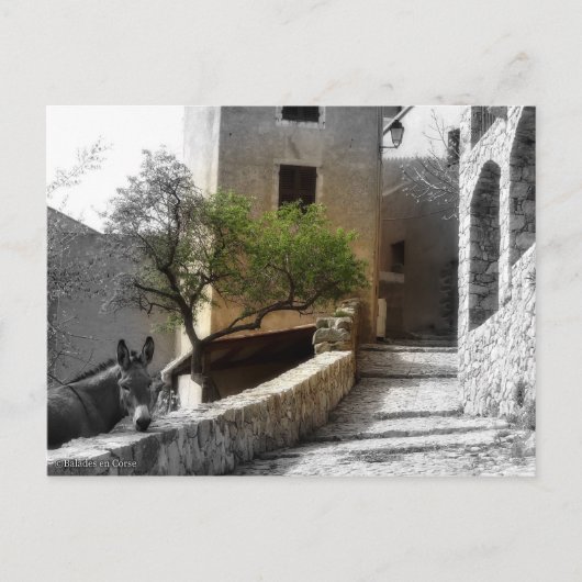 Postale Carte SANT'ANTONINO (Devant)