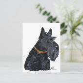 Postale Carte Scottish Terrier (Debout devant)
