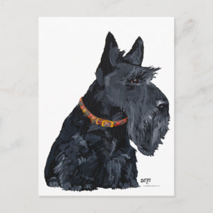 Postale Carte Scottish Terrier