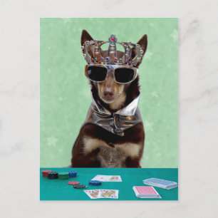 Postale Carte Shark King