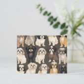 Postale Carte Shih Tzu Serenity (Debout devant)