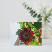 Postale Carte Sunflower Post (Debout devant)