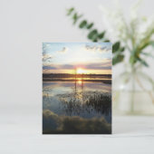 Postale Carte Sunset 172 Florida Post (Debout devant)