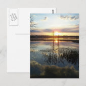 Postale Carte Sunset 172 Florida Post (Devant / Derrière)