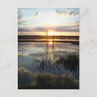 Postale Carte Sunset 172 Florida Post