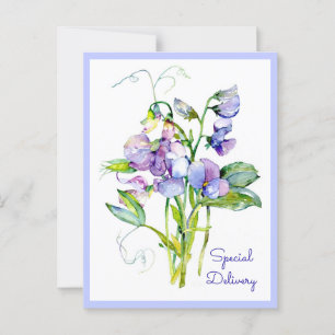 Postale Carte Sweet Peas En Tout Temps