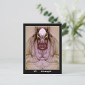 Postale Carte Tarot Force (Debout devant)