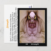 Postale Carte Tarot Force (Devant / Derrière)