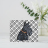 Postale Carte Tartan du Terrier Écossais (Debout devant)