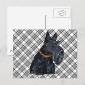 Postale Carte Tartan écossaise Terrier (Devant / Derrière)