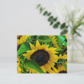 Postale carte tournois (Debout devant)