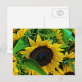 Postale carte tournois (Devant / Derrière)