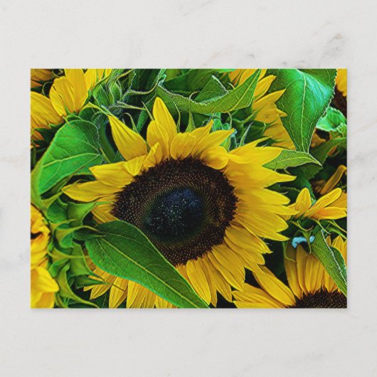 Postale carte tournois (Devant)