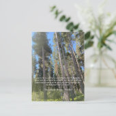 Postale Carte Trees Forest Woods Thoreau (Debout devant)