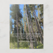 Postale Carte Trees Forest Woods Thoreau (Devant)