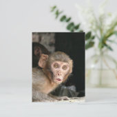 Postale Carte verticale de singe effrayé aux grands yeux (Debout devant)
