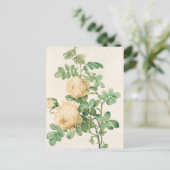 Postale Carte vintage (Debout devant)