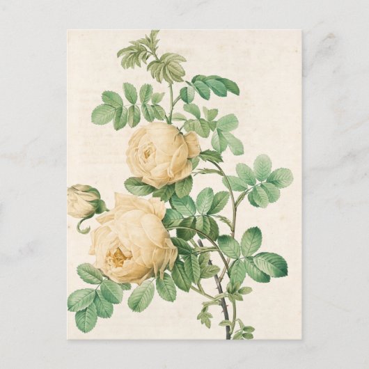 Postale Carte vintage (Devant)