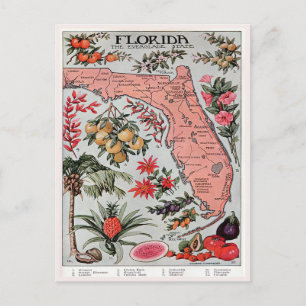 Postale Carte vintage de Floride, Everglade State Travel
